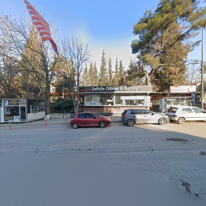 Fotoğraf 10