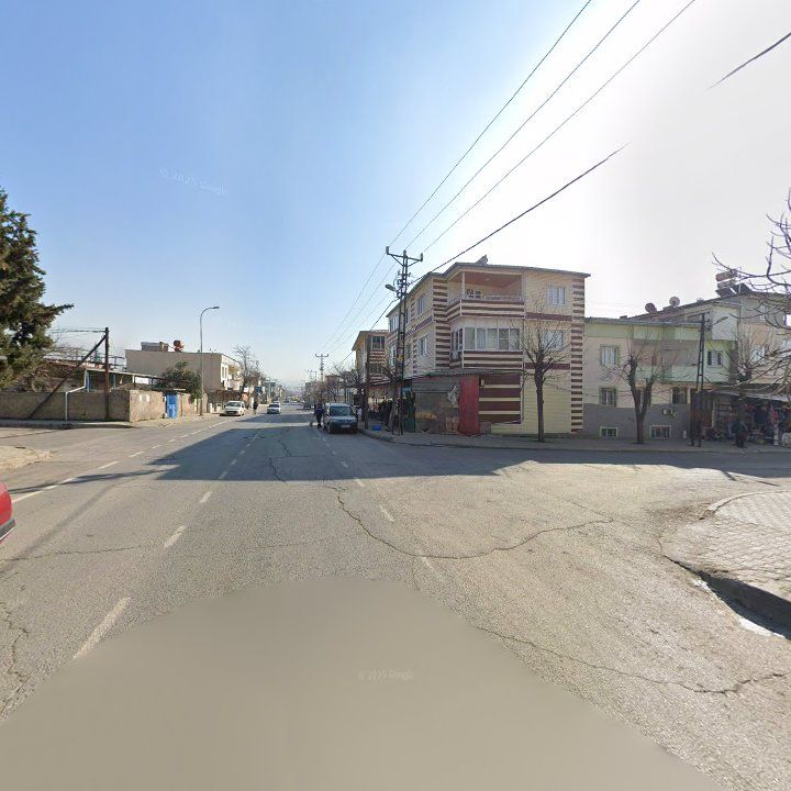 Fotoğraf 7