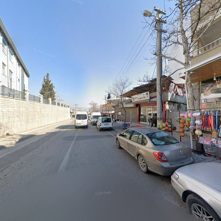 Fotoğraf 6