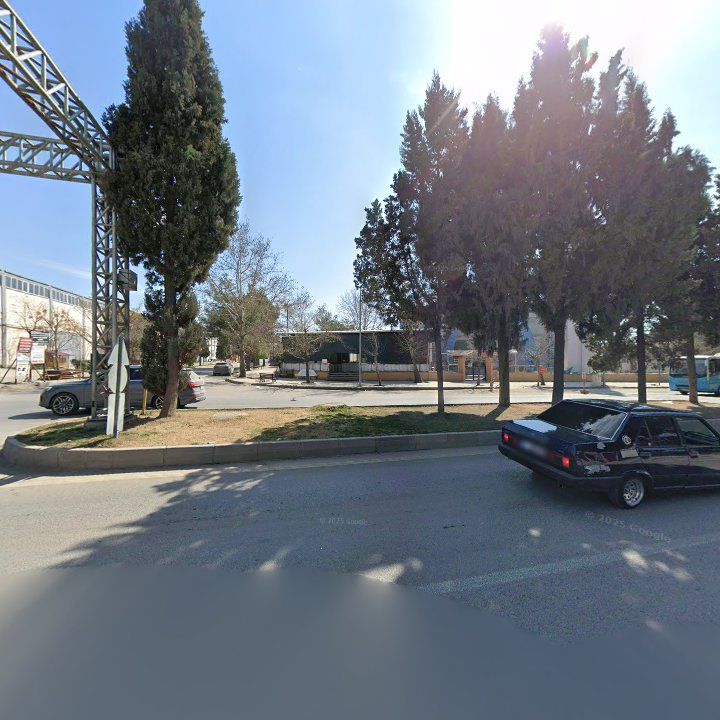 Fotoğraf 11