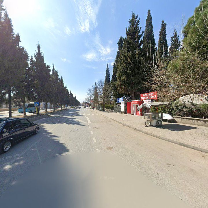 Fotoğraf 8
