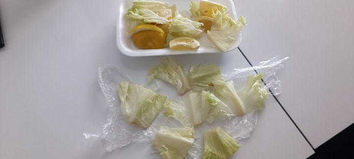 Fotoğraf 30
