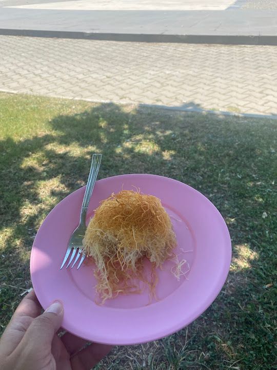 Fotoğraf 14