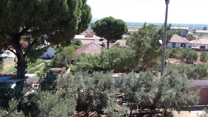 Fotoğraf 7