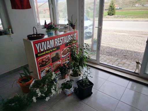 Fotoğraf 14