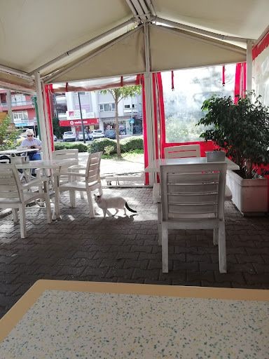 Yorum fotoğrafı 3