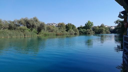 Yorum fotoğrafı 5