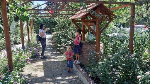 Fotoğraf 12