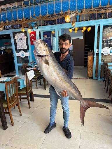 Yorum fotoğrafı 4