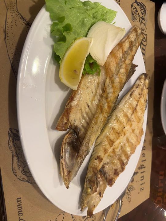 Fotoğraf 34