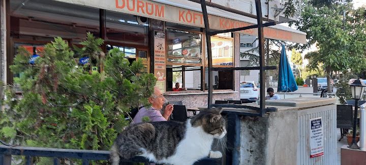 Fotoğraf 4