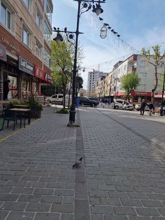 Fotoğraf 8
