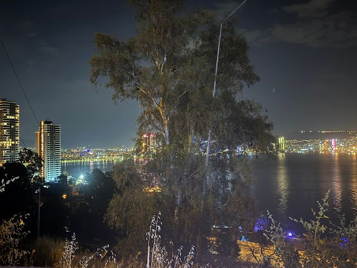 Fotoğraf 12