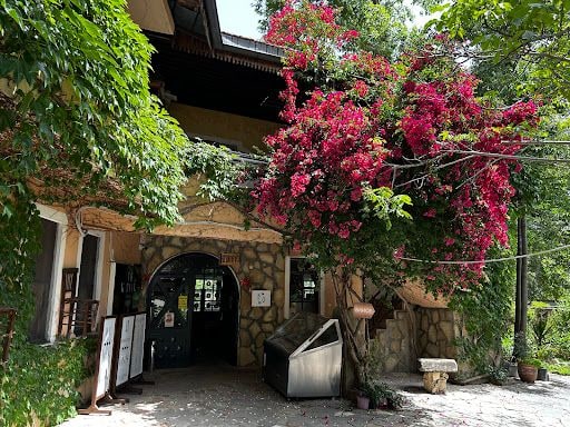 Yorum fotoğrafı 8