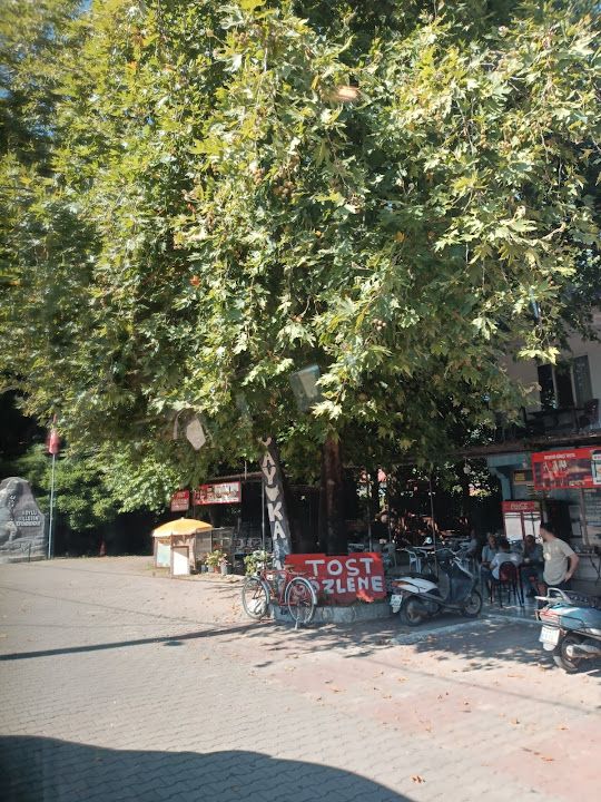 Yorum fotoğrafı 1