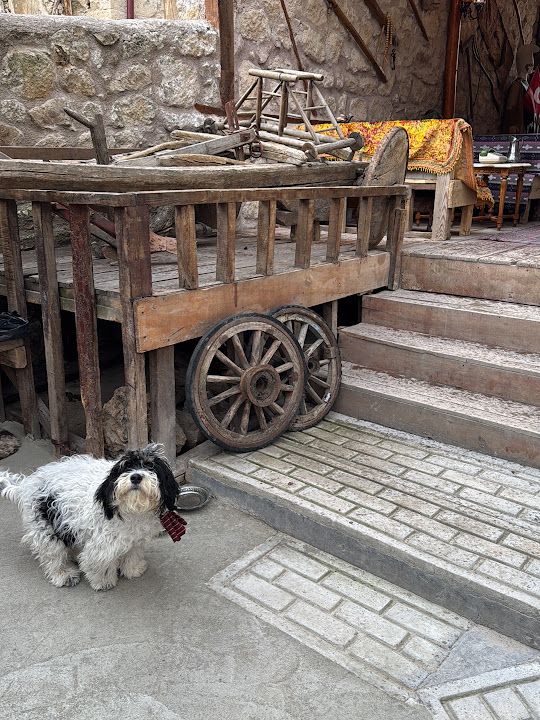 Yorum fotoğrafı 3