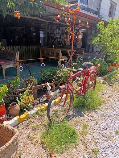 Fotoğraf 17