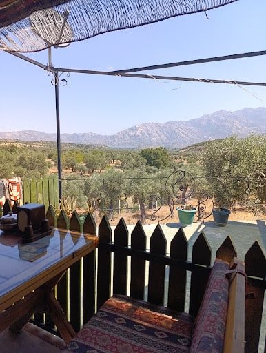 Fotoğraf 20