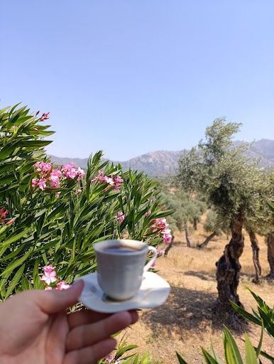 Fotoğraf 21