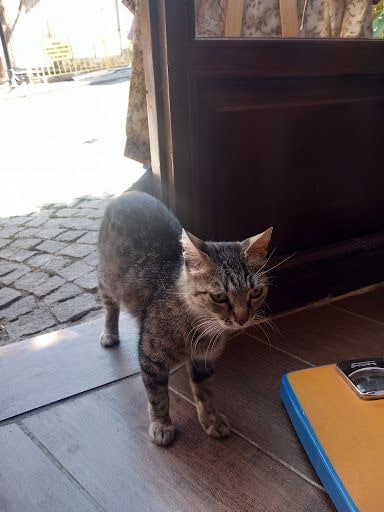 Yorum fotoğrafı 3