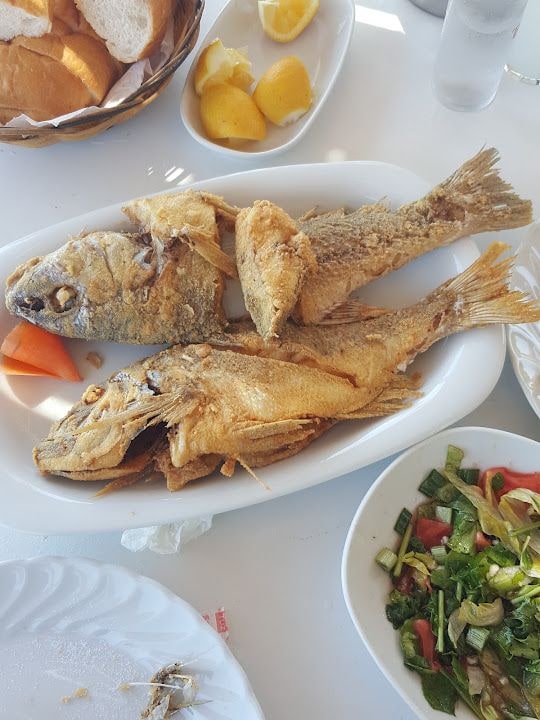 Fotoğraf 20