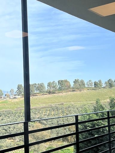 Fotoğraf 31