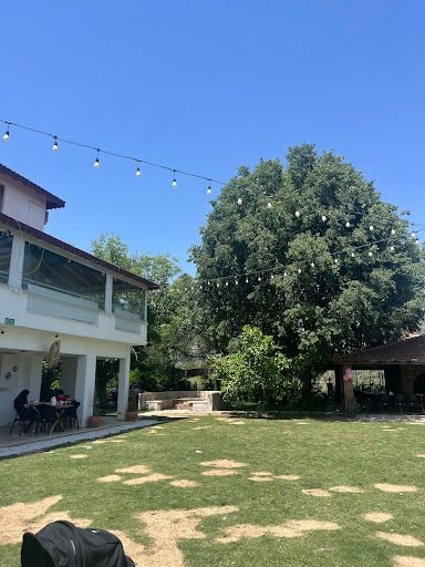 Fotoğraf 18