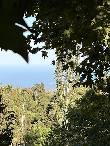 Yorum fotoğrafı 5