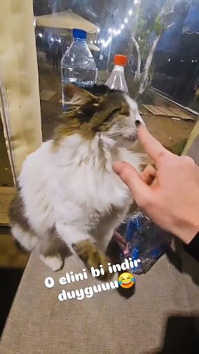 Yorum fotoğrafı 5