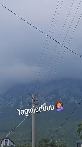 Yorum fotoğrafı 7