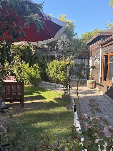 Yorum fotoğrafı 8