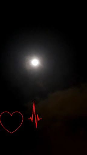 Yorum fotoğrafı 8