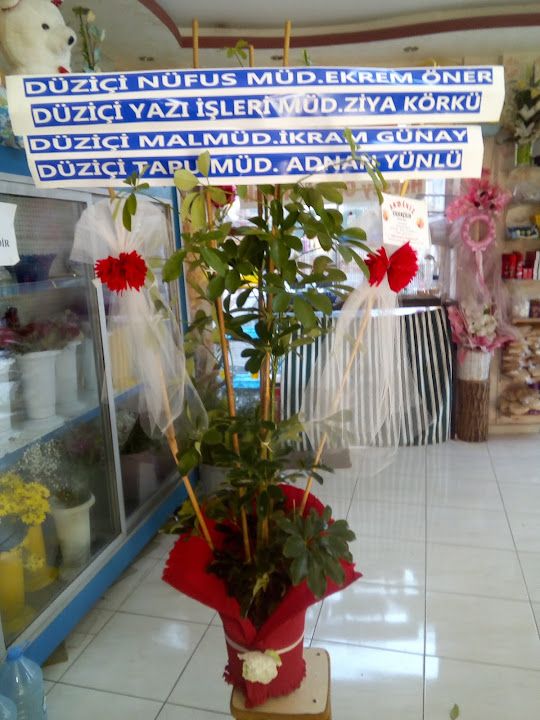 Çağdaş Döner