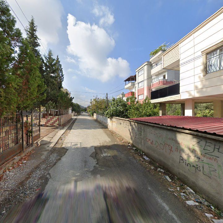 Fotoğraf 6