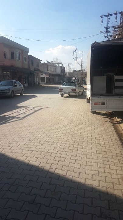 Fotoğraf 6