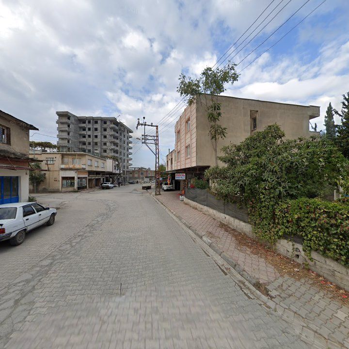 Fotoğraf 3