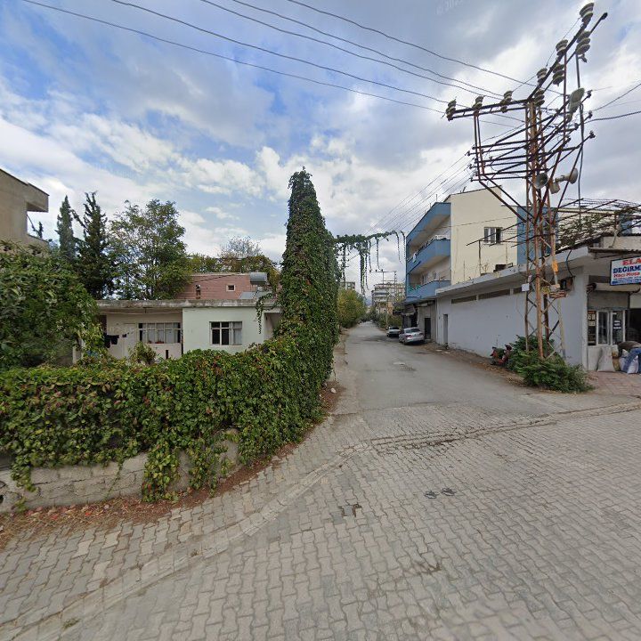 Fotoğraf 4