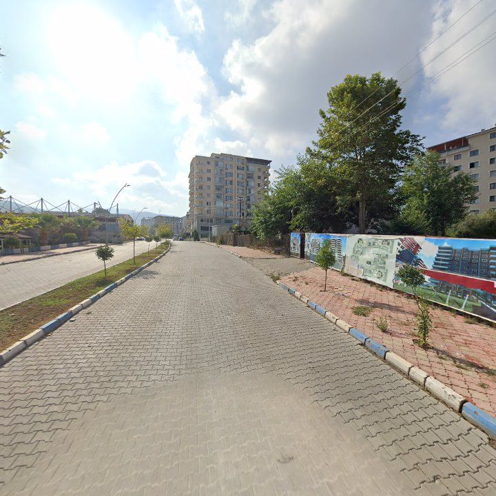 Fotoğraf 11