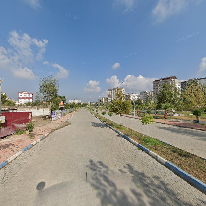 Fotoğraf 9