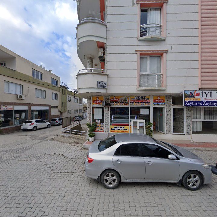Fotoğraf 3