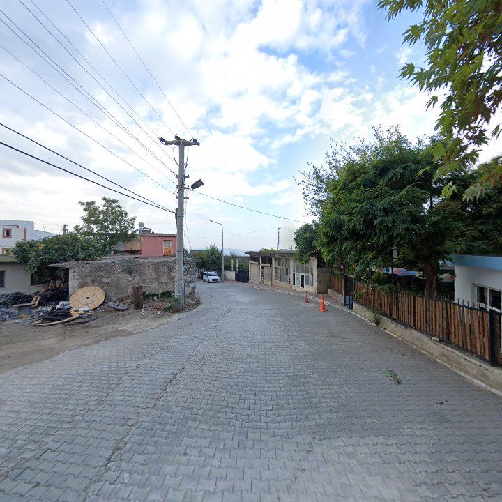 Fotoğraf 5