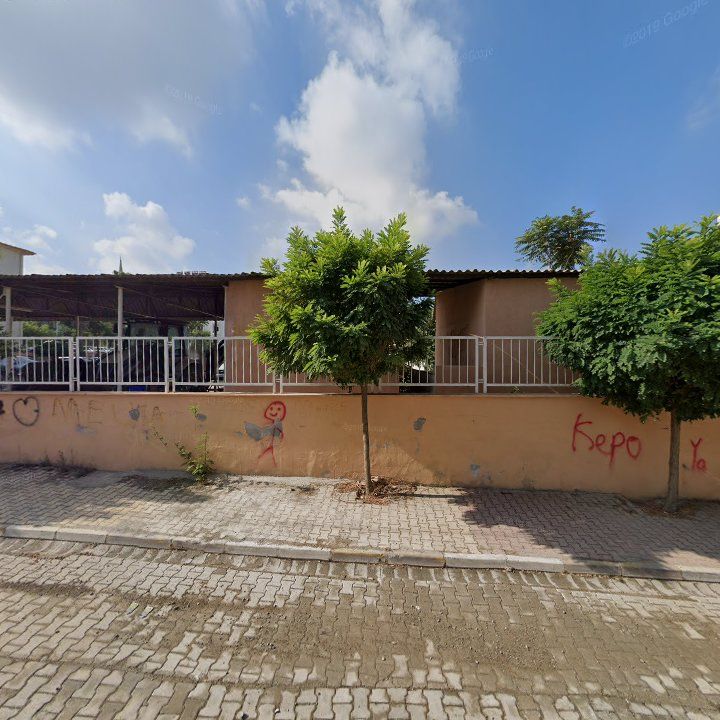 Fotoğraf 3