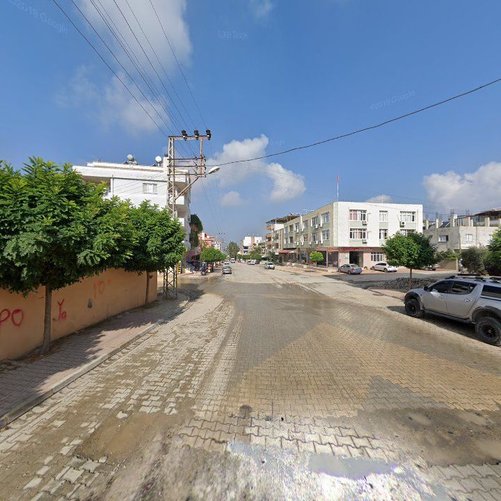 Fotoğraf 4