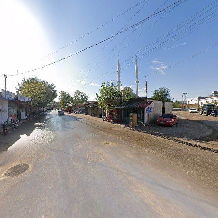 Fotoğraf 5