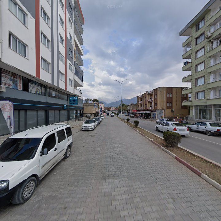 Fotoğraf 7