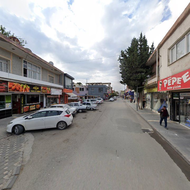 Fotoğraf 6