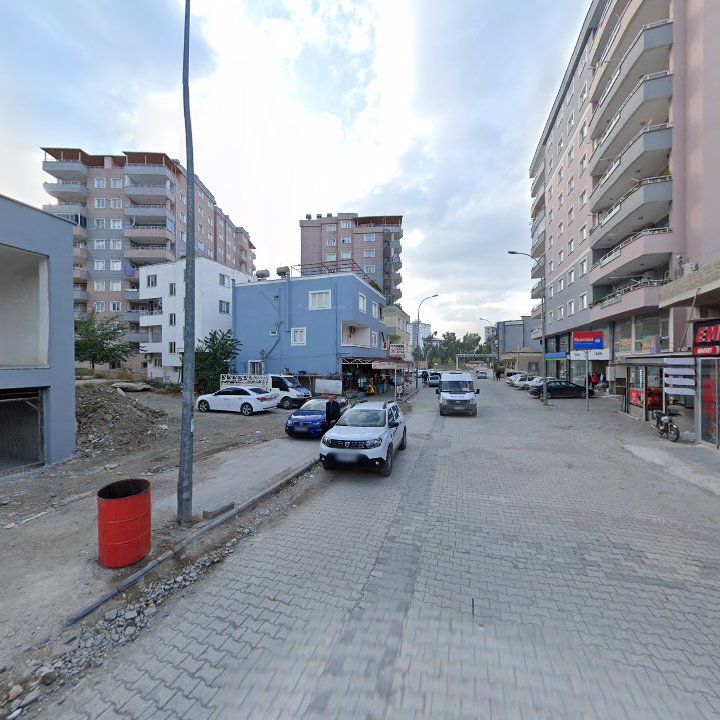 Fotoğraf 8