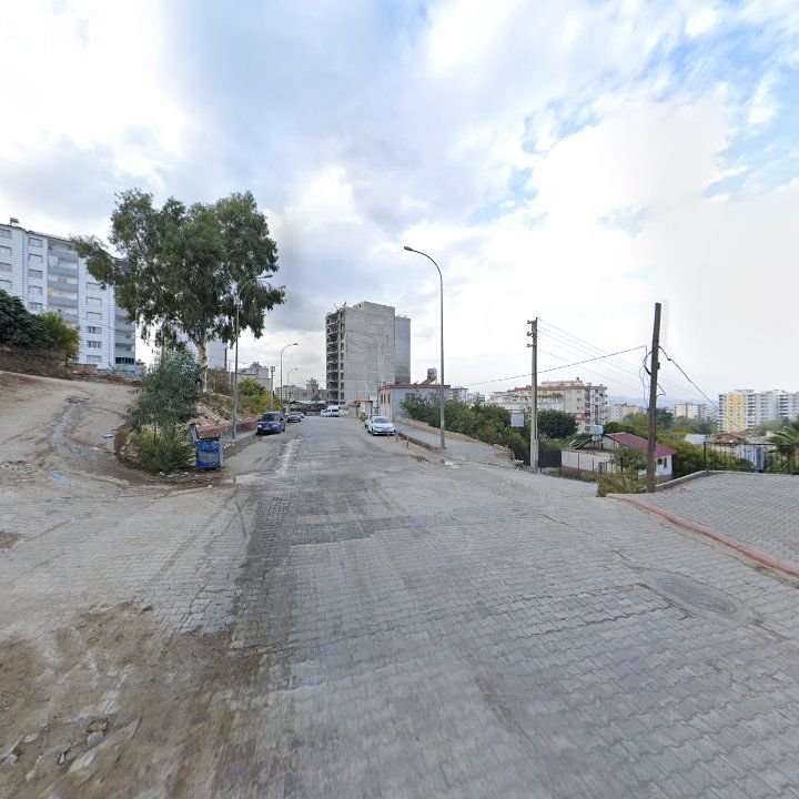 Fotoğraf 7