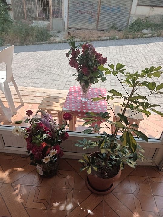 Sülo'nun Yeri Yemek Ve Kebab Salonu