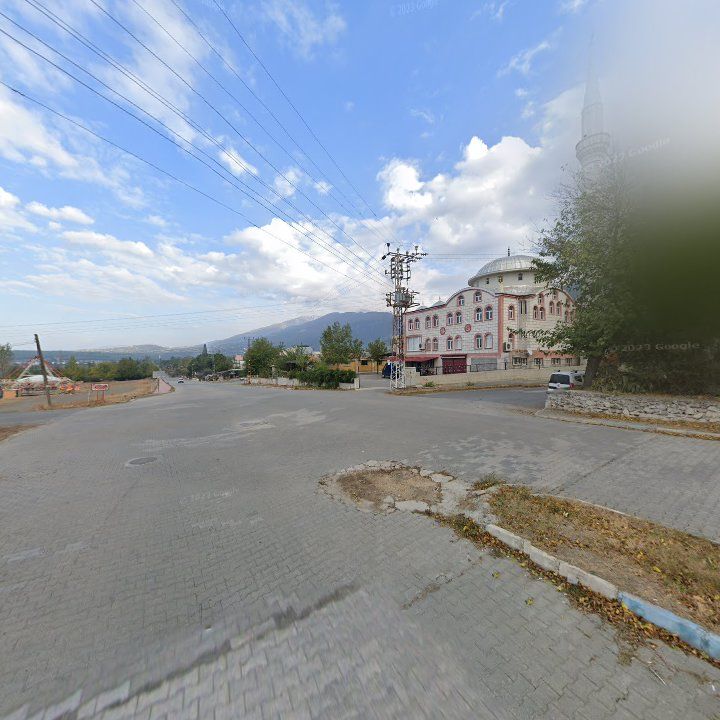 Fotoğraf 9